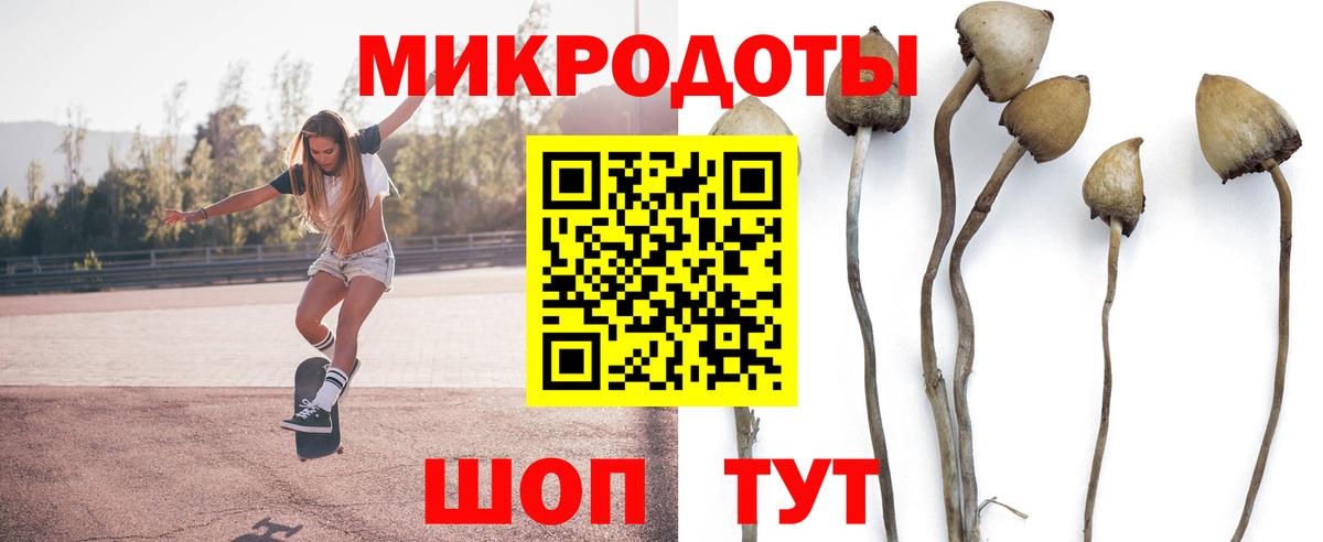Псилоцибиновые грибы прущие грибы  Галлюциногенные грибы GOLDEN TEACHER  Озёры  Вход с VPN 